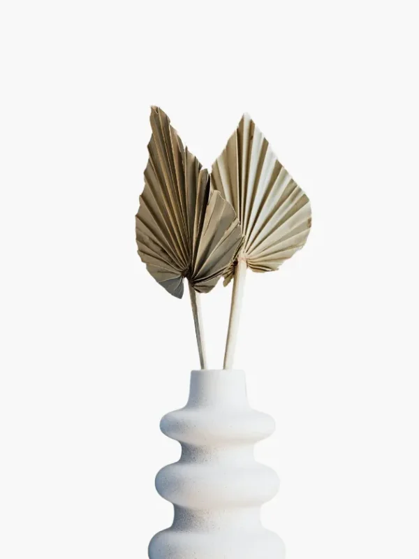 Dried Palm Spear